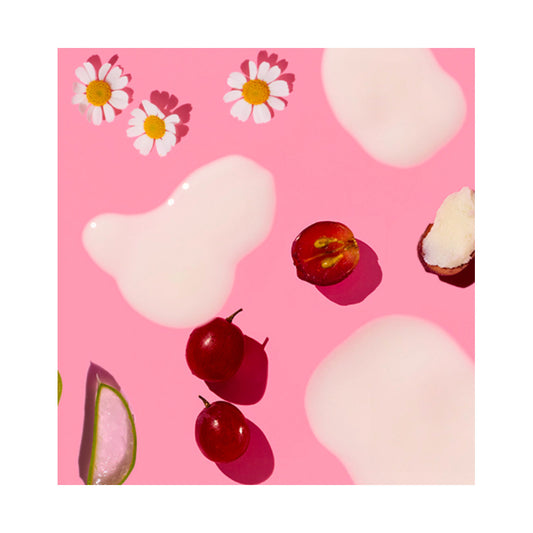 CAUDALIE VINOHYDRA MASCARILLA HIDRATANTE 75 ML