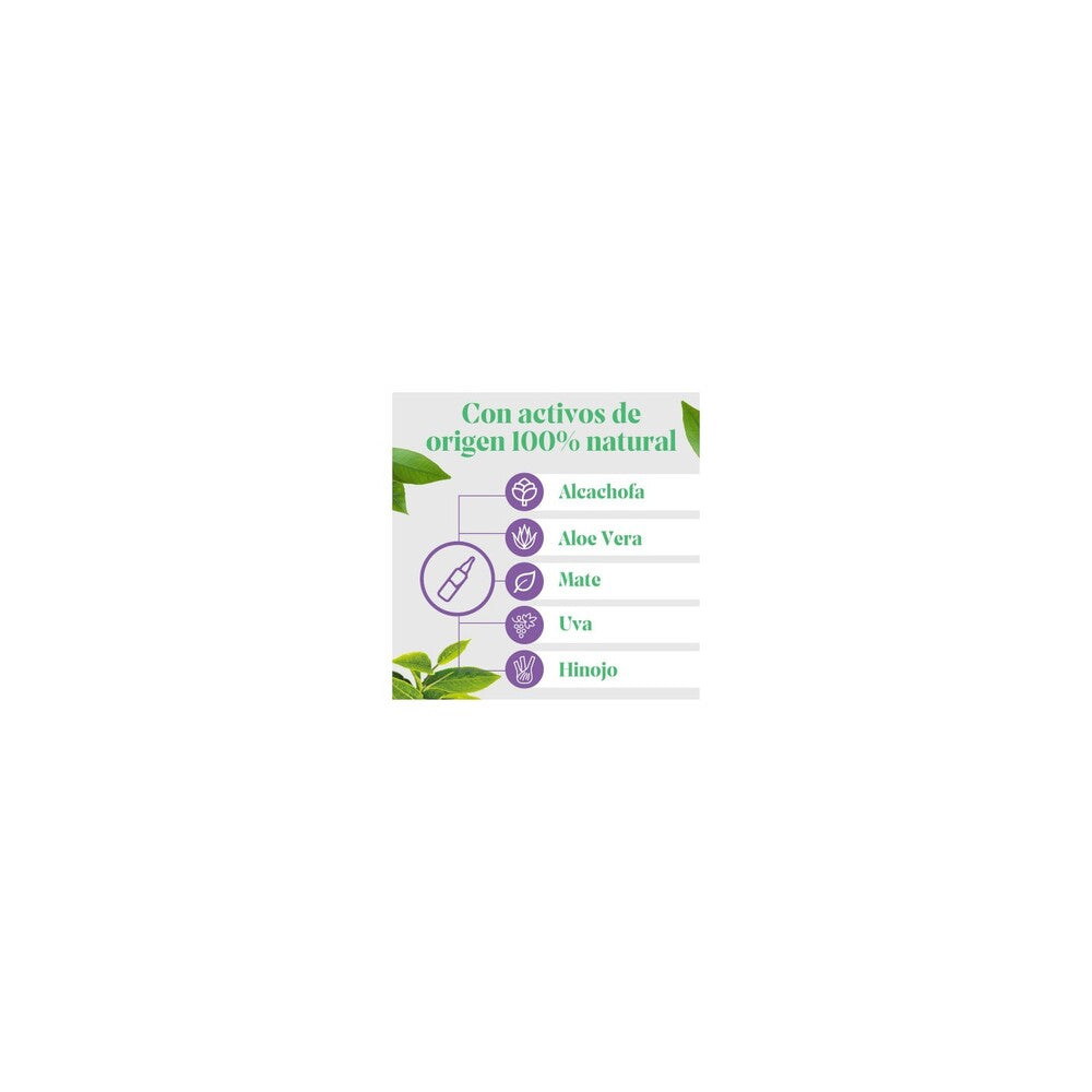 ARKOFLUIDO ALCACHOFA FORTE BIO 20 AMPOLLAS BEBIBLES 15 ML