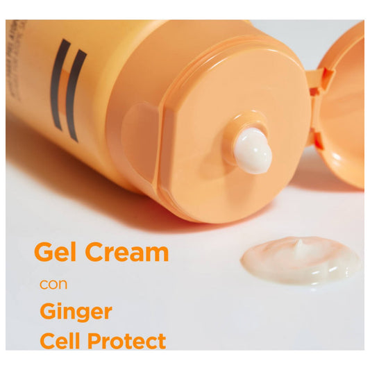 ISDIN SOLAR GEL CREMA SPF 50+ 100 ML